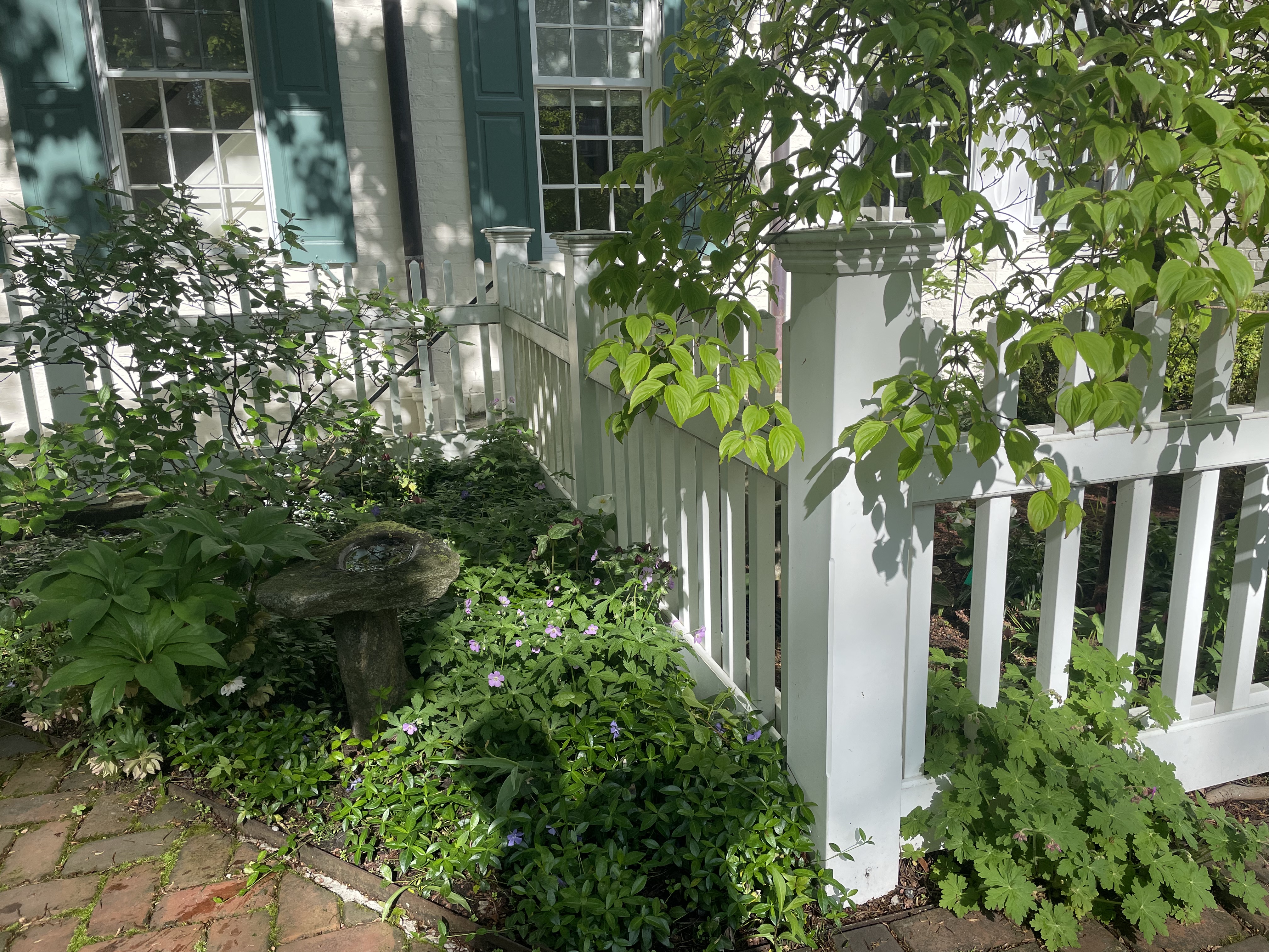 Power Washing - Image 3